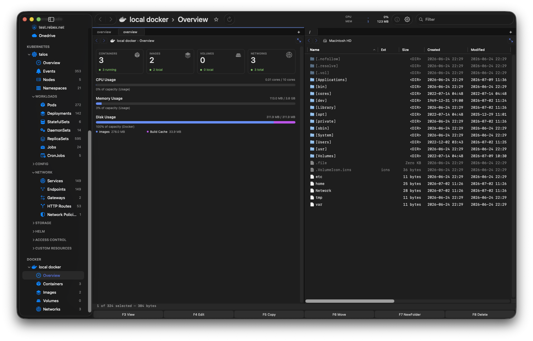 Docker overview beside a file pane